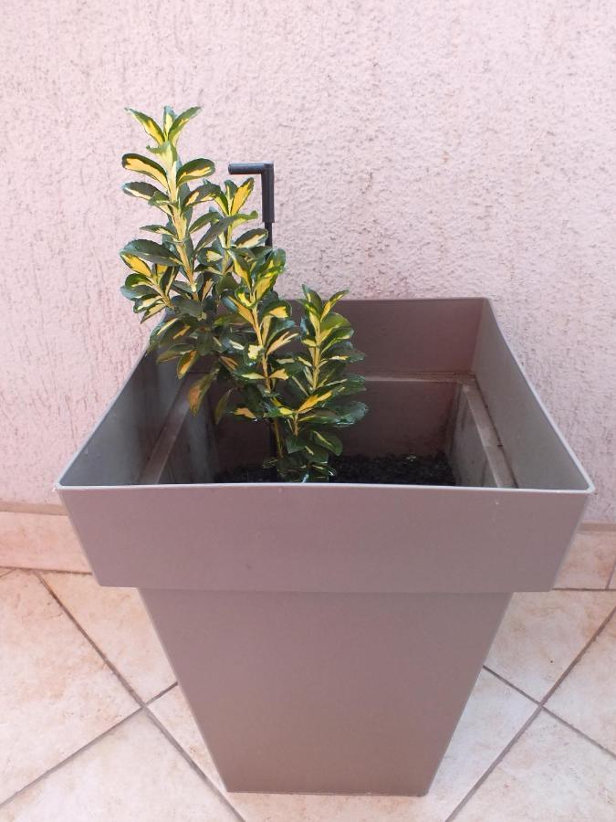 פודגוריצה Apartment Temple מראה חיצוני תמונה